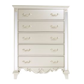 Glamorous Champagne Finish Chest of 5 Drawers Textural Panels Traditional Luxury Bedroom Furniture 1pc