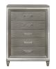 Silver Gray Metallic Finish Glam Style Storage Chest of 5 Drawers Wooden 1pc Modern Bedroom Furniture Acrylic Hardware Beveled Mirror Trim