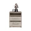 Eter Nightstand , End Table, Side Table Superior Top, Two Drawers -Light Gray