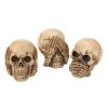 Spooky Skulls Trio: See, Hear, and Speak No Evil