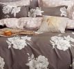 Marrisa Brown Floral 100% Cotton Comforter Set